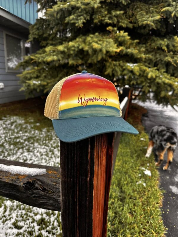 Shop Wyoming Wyoming Colors Hat