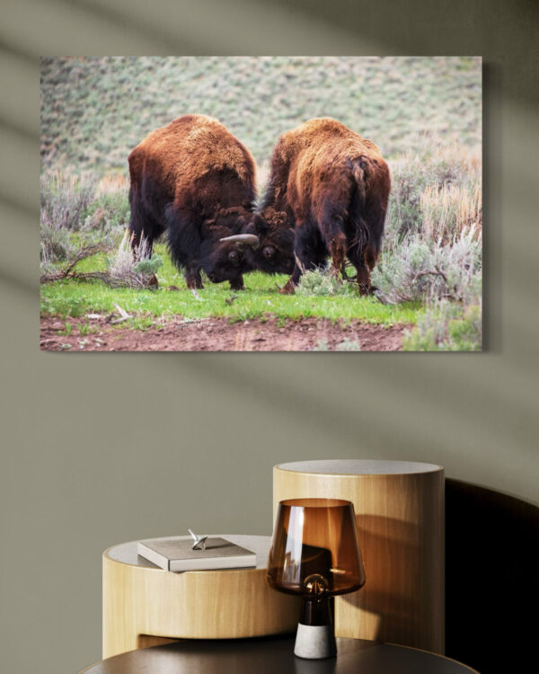 Shop Wyoming PUSH AND SHOVE