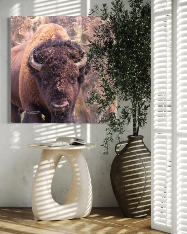 Shop Wyoming POWERFUL SPIRIT