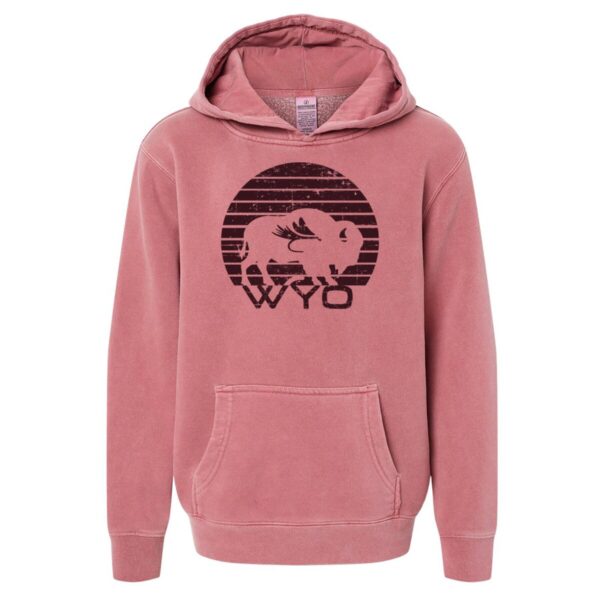 Shop Wyoming Youth Reel Fun Sweatshirt Hoodie – Pigment Maroon