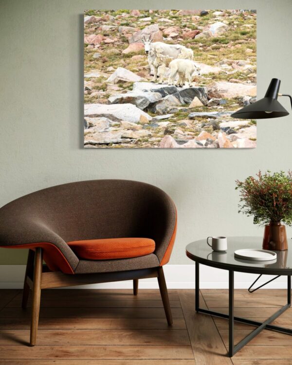 Shop Wyoming ROCK CLIMBERS