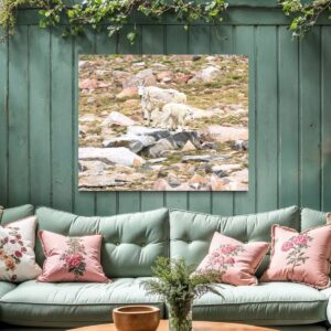 Shop Wyoming ROCK CLIMBERS