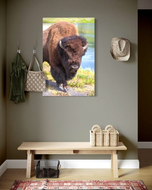 Shop Wyoming ONE HOOF AT A TIME