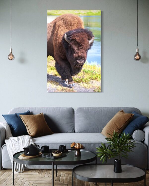 Shop Wyoming ONE HOOF AT A TIME