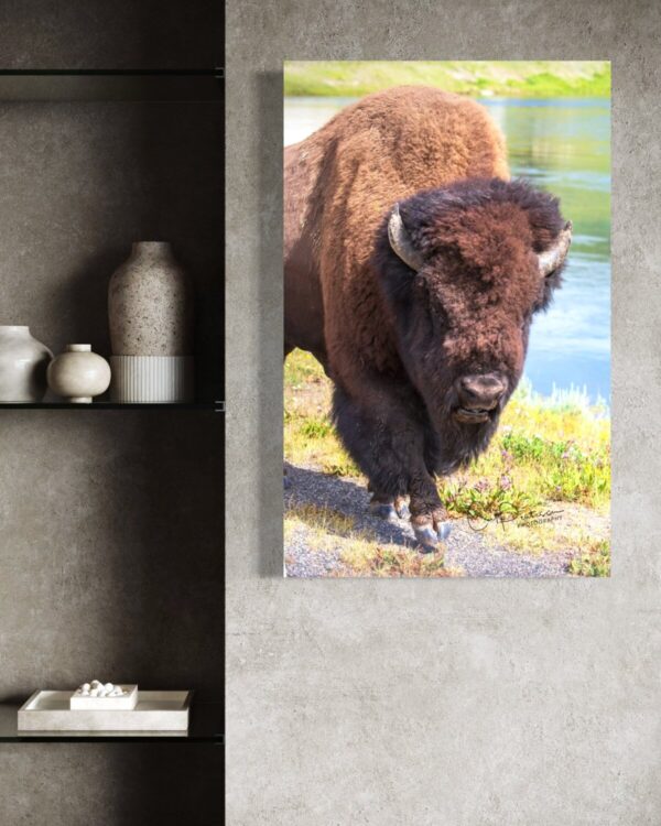 Shop Wyoming ONE HOOF AT A TIME
