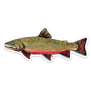 Shop Wyoming Trout Species Series – Brook Trout Sticker