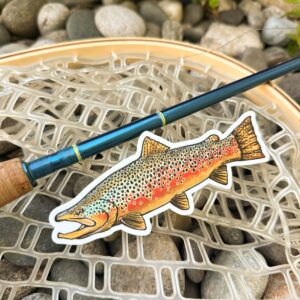 Shop Wyoming Trout Species Series – Brown Trout Sticker