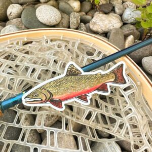 Shop Wyoming Trout Species Series – Brook Trout Sticker