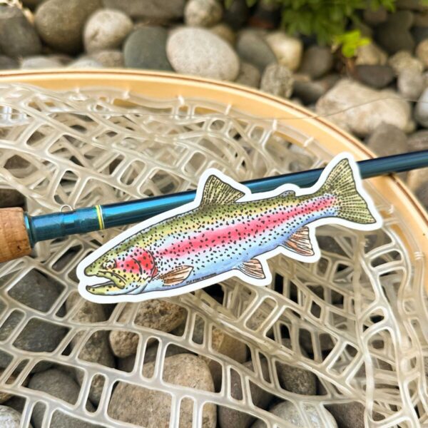 Shop Wyoming Trout Species Series – Rainbow Trout Sticker