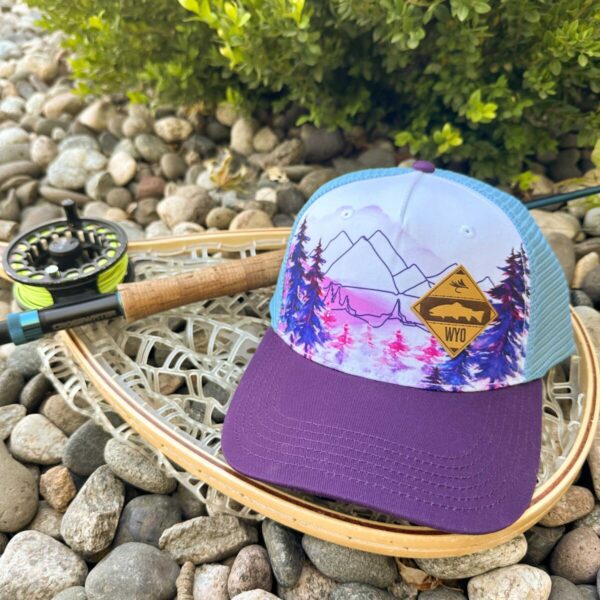 Shop Wyoming Purple Mountains Majesty Hat