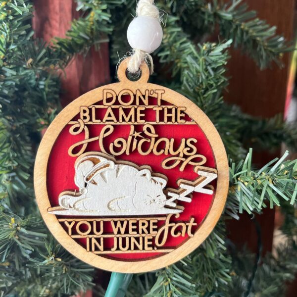 Shop Wyoming Funny Holiday Ornament – “Don’t Blame the Holidays, You Were Fat in June” – 3.25″ Round Layered Wood Christmas Tree Decor