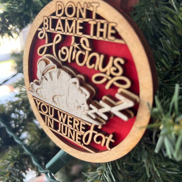 Shop Wyoming Funny Holiday Ornament – “Don’t Blame the Holidays, You Were Fat in June” – 3.25″ Round Layered Wood Christmas Tree Decor