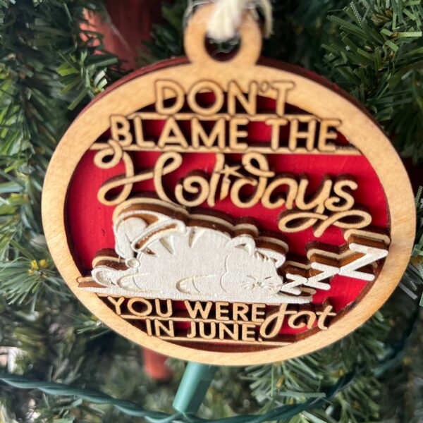 Shop Wyoming Funny Holiday Ornament – “Don’t Blame the Holidays, You Were Fat in June” – 3.25″ Round Layered Wood Christmas Tree Decor