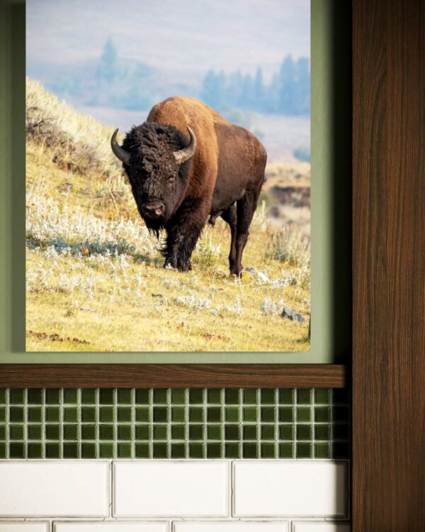 Shop Wyoming TOTAL CONTROL