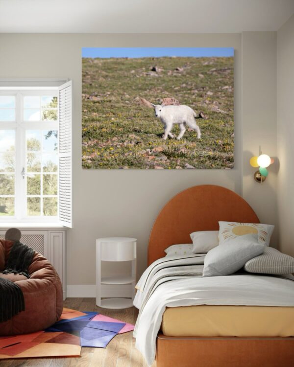 Shop Wyoming MOUNTAIN KID