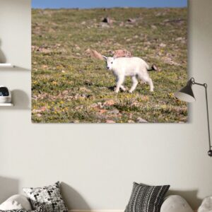 Shop Wyoming MOUNTAIN KID
