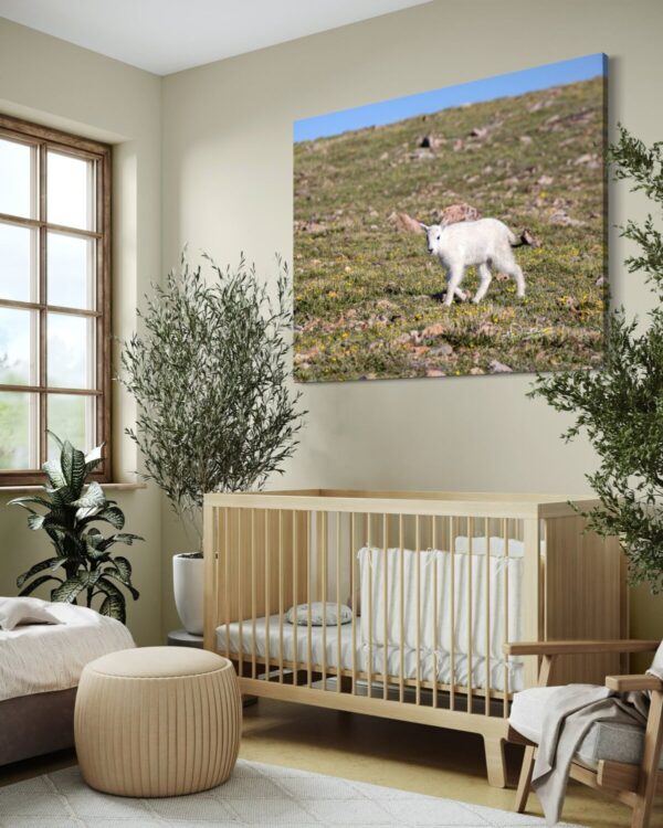 Shop Wyoming MOUNTAIN KID