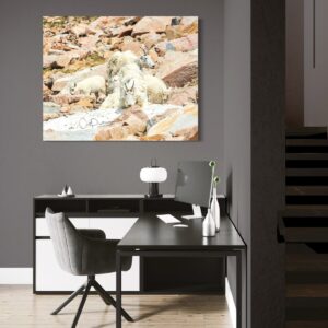 Shop Wyoming STICKING TOGETHER Shop Wyoming STICKING TOGETHER