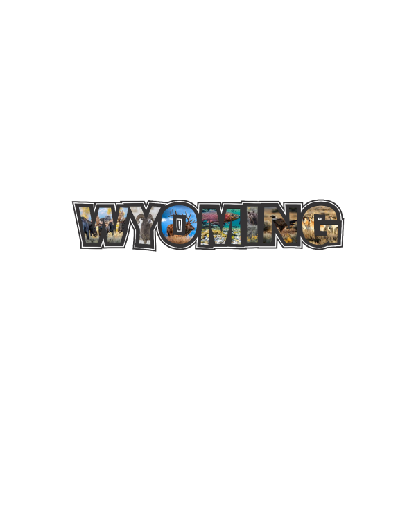 Shop Wyoming Wyoming Sticker 12″