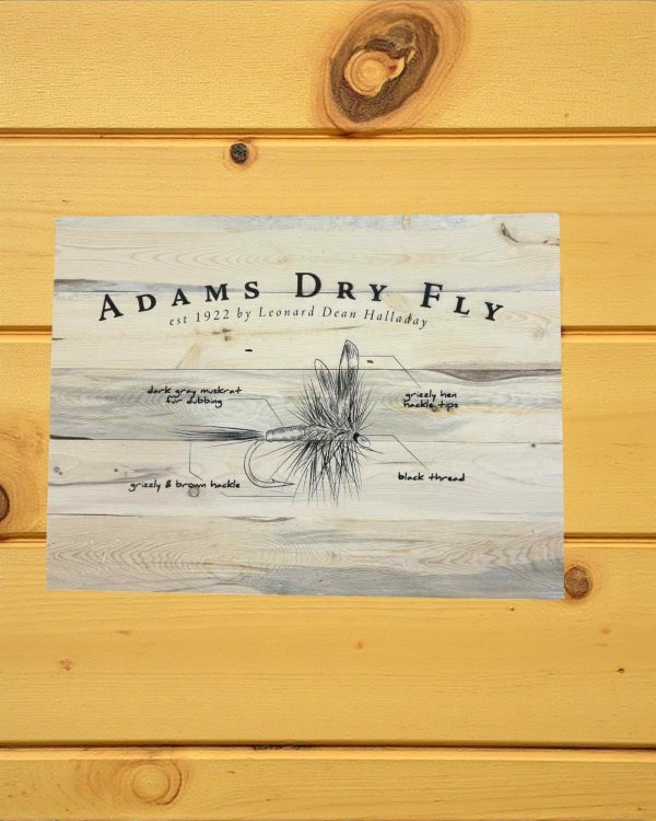 Shop Wyoming Adams Fly Wall Decor