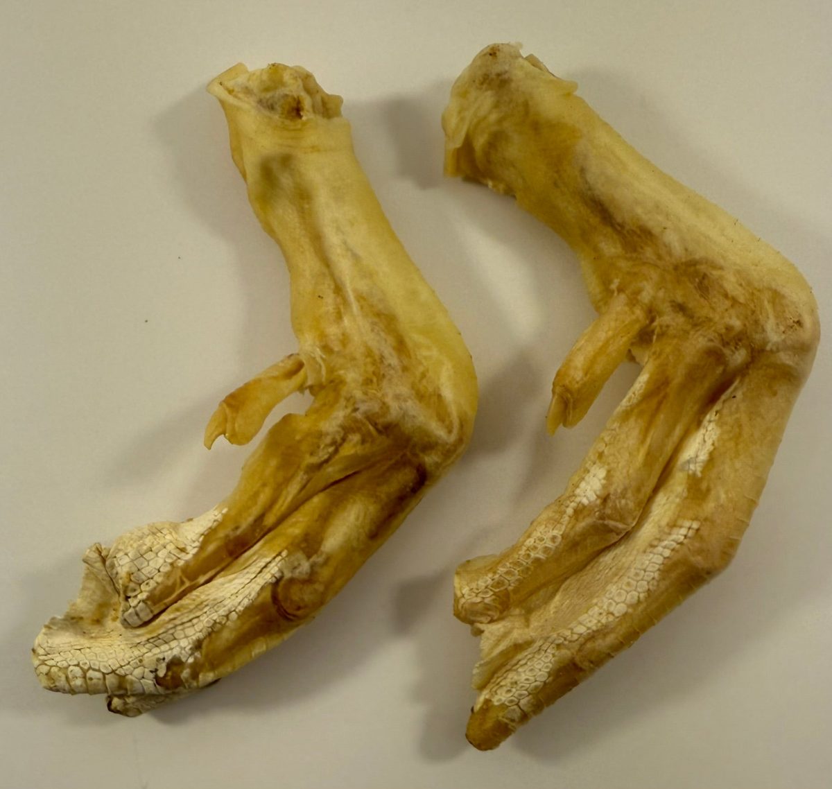 Shop Wyoming Duck Feet Dog Treats – Joint Support & Novel Protein Shop Wyoming Duck Feet Dog Treats – Joint Support & Novel Protein