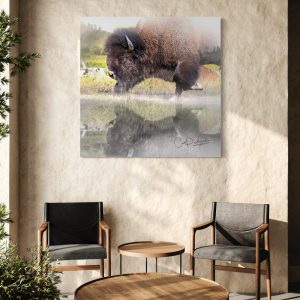 Shop Wyoming LIFE REFLECTS