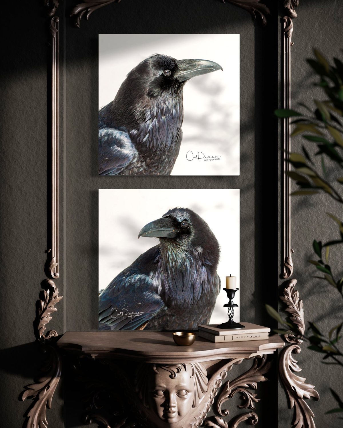 Shop Wyoming THE RAVEN Shop Wyoming THE RAVEN