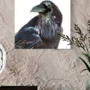 Shop Wyoming THE RAVEN Shop Wyoming THE RAVEN