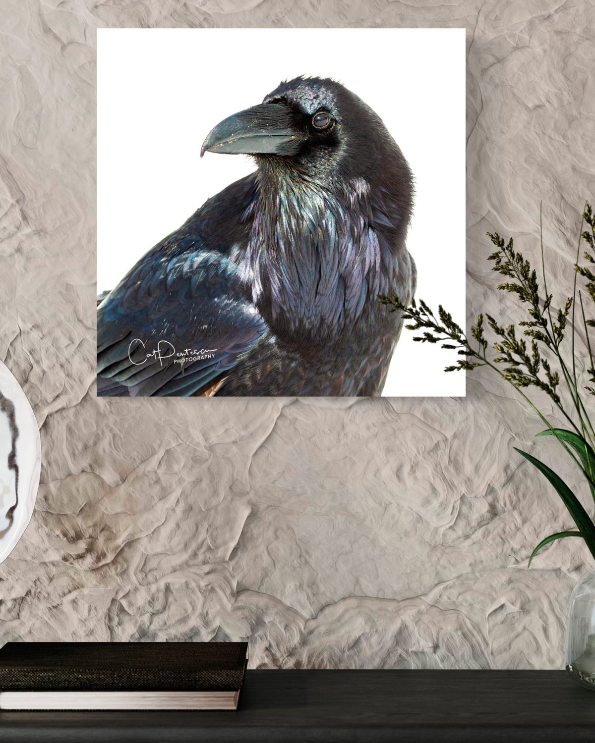 Shop Wyoming THE RAVEN Shop Wyoming THE RAVEN