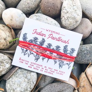 Shop Wyoming Wyoming Indian Paintbrush Woven Bracelet Shop Wyoming Wyoming Indian Paintbrush Woven Bracelet