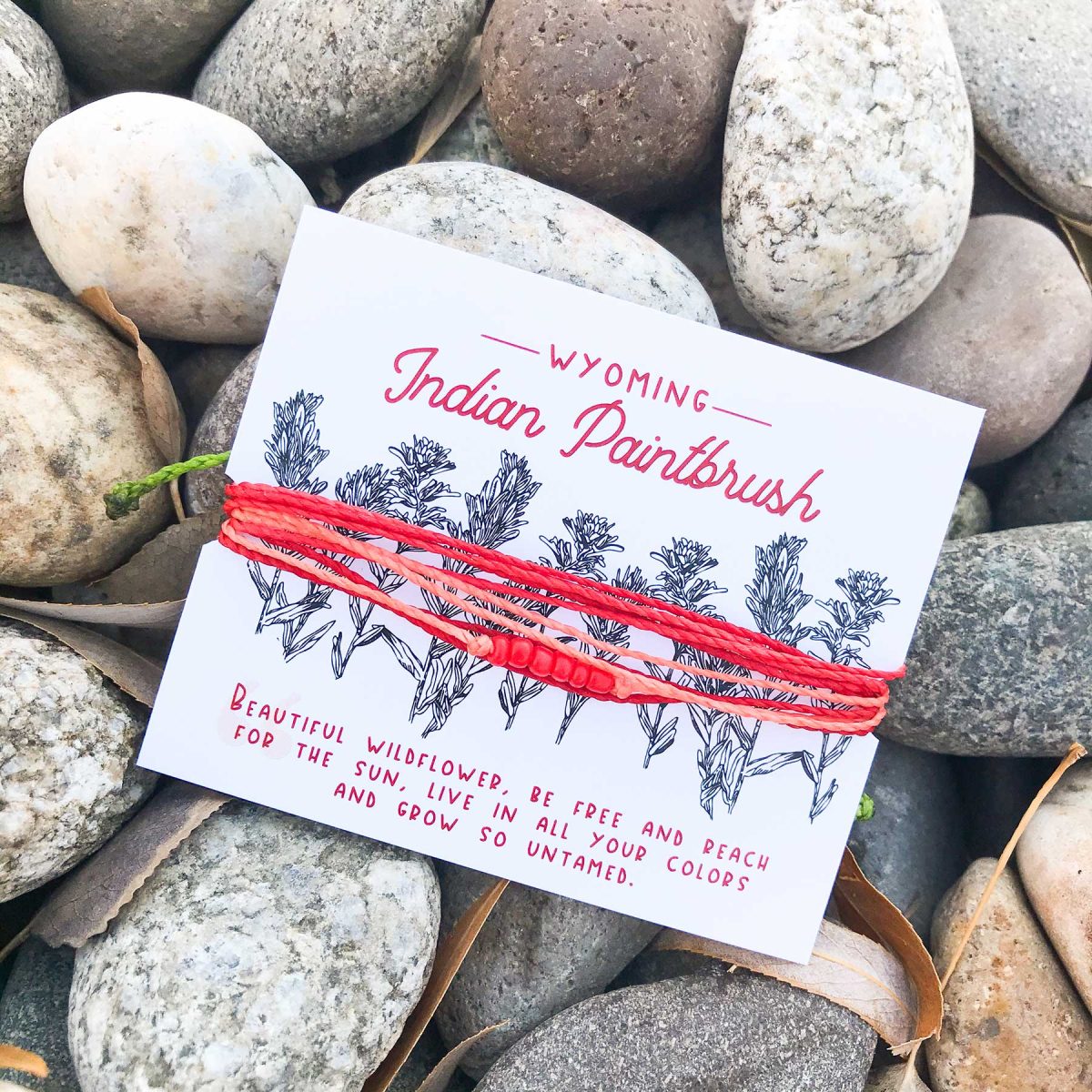 Shop Wyoming Wyoming Indian Paintbrush Woven Bracelet Shop Wyoming Wyoming Indian Paintbrush Woven Bracelet