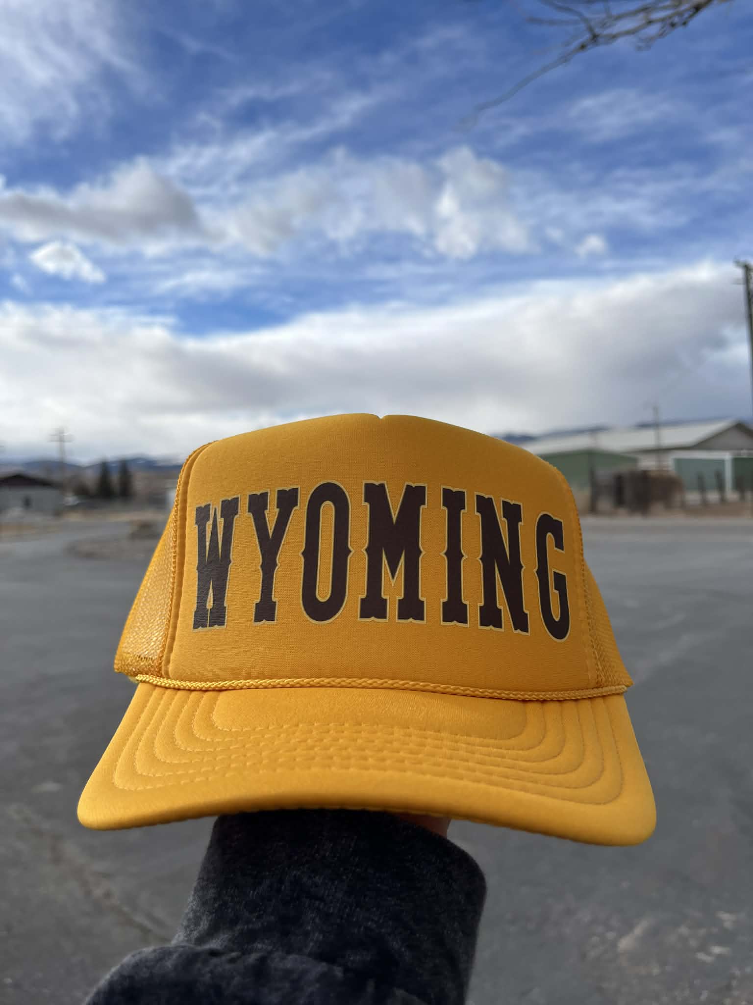 Shop Wyoming Wyoming Varsity Trucker Hat Choose your color Shop Wyoming Wyoming Varsity Trucker Hat Choose your color