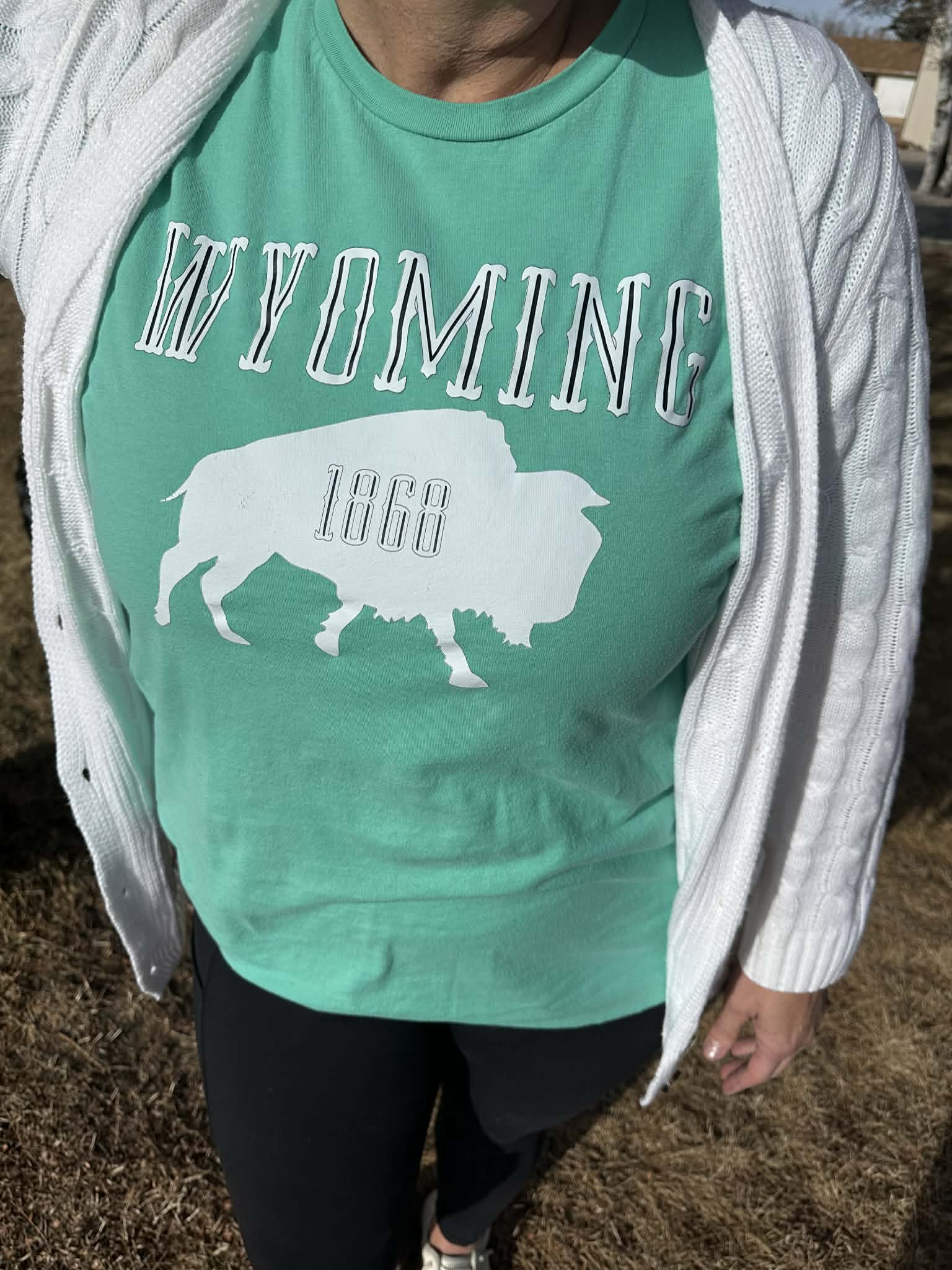 Shop Wyoming Wyoming 1868 T-shirt in Mint Shop Wyoming Wyoming 1868 T-shirt in Mint