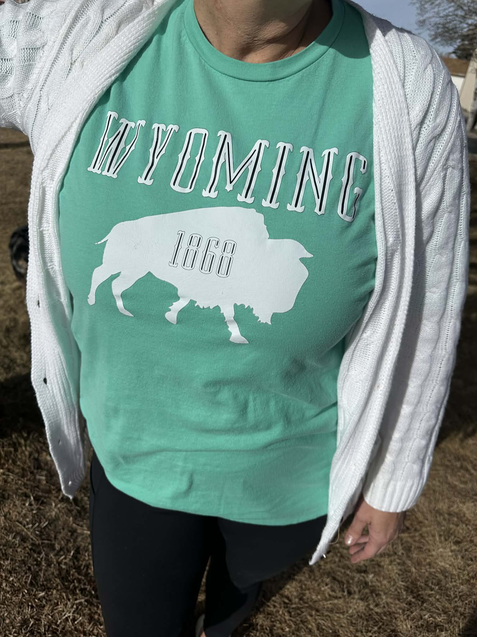 Shop Wyoming Wyoming 1868 T-shirt in Mint Shop Wyoming Wyoming 1868 T-shirt in Mint