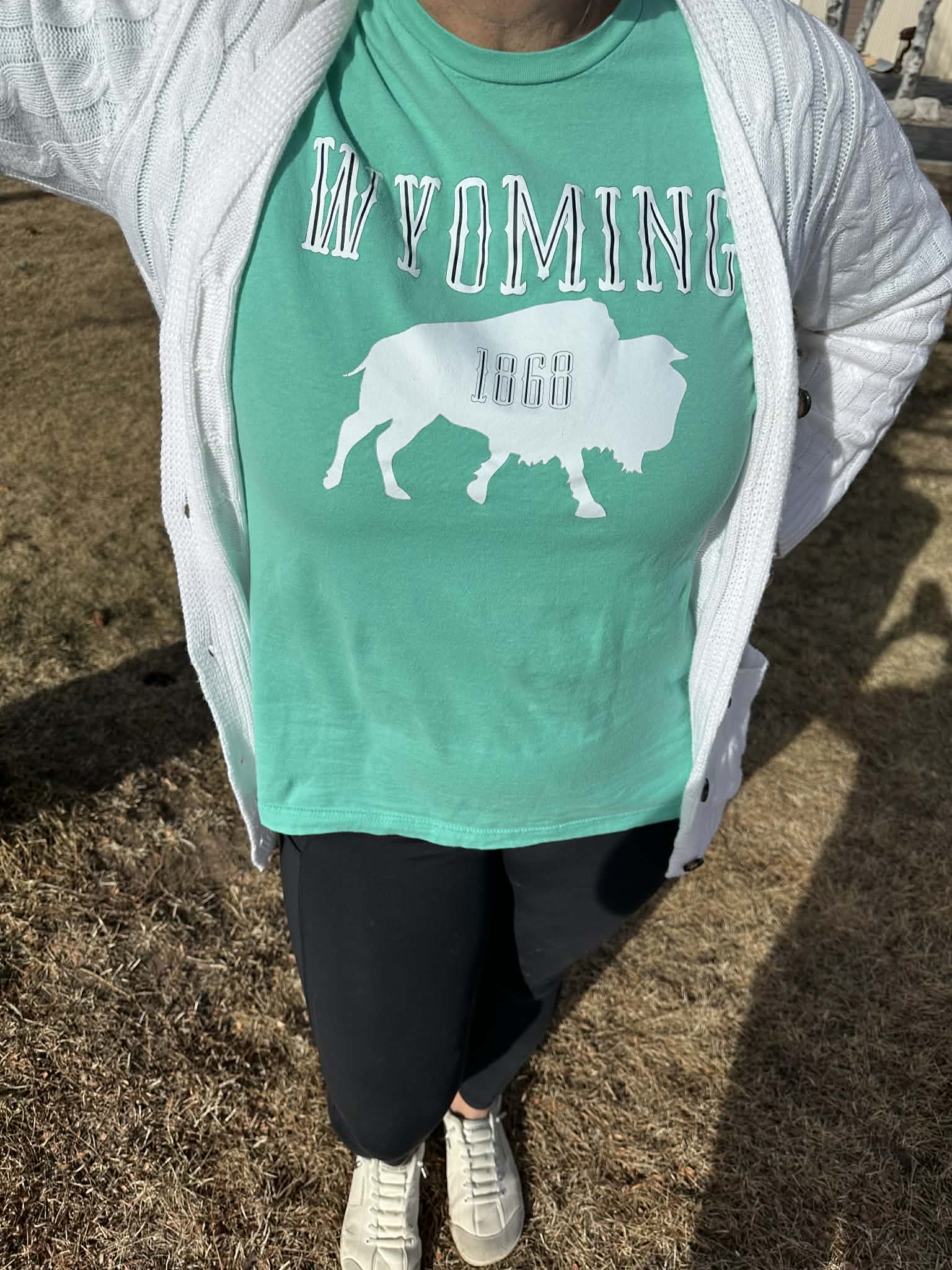 Shop Wyoming Wyoming 1868 T-shirt in Mint Shop Wyoming Wyoming 1868 T-shirt in Mint