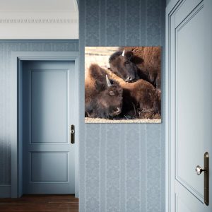 Shop Wyoming BONDED Shop Wyoming BONDED