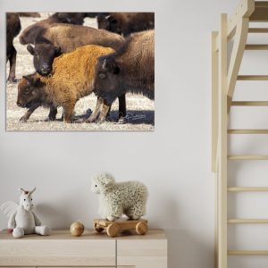 Shop Wyoming THE PILE UP Shop Wyoming THE PILE UP